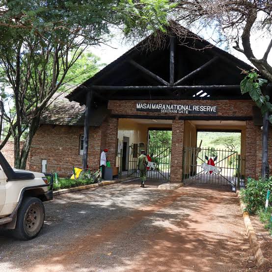 Maasai Mara Safari