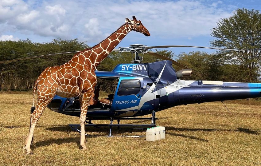 Safari Air Access