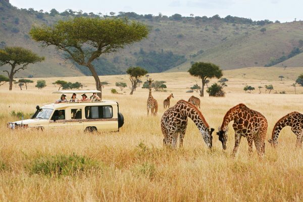 Safari Packages
