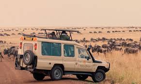 Guided game safari in Kenya