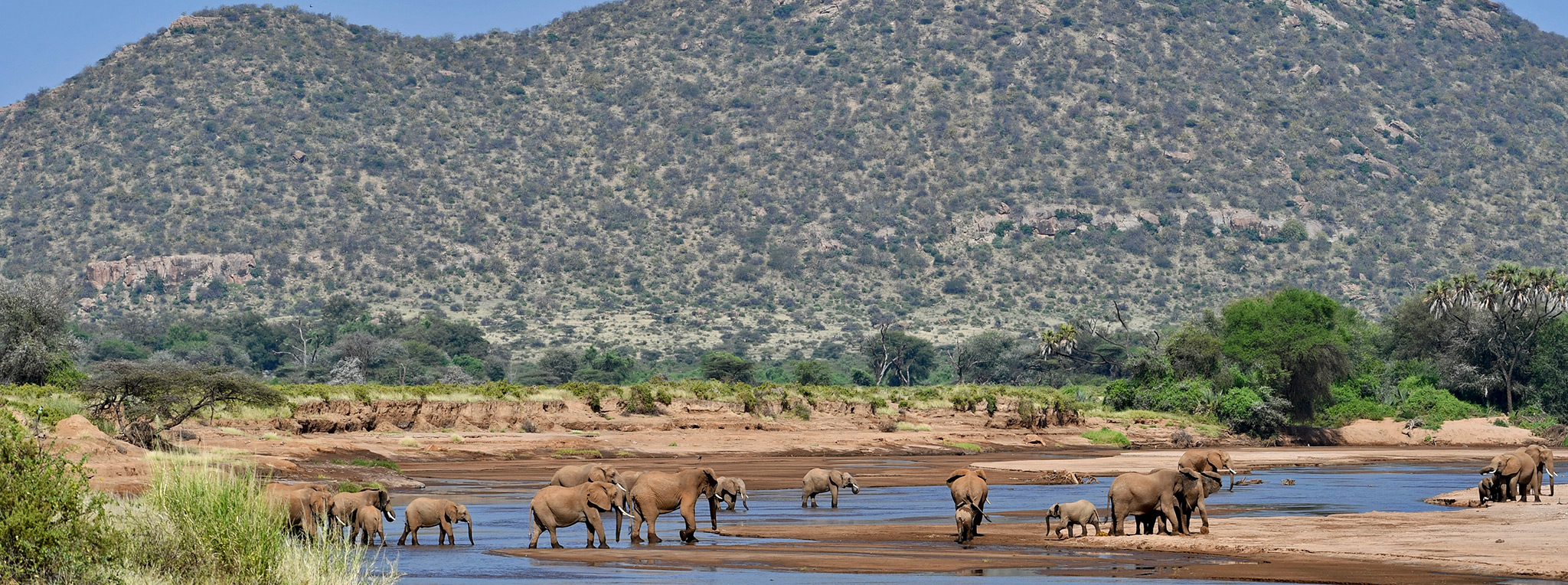 Samburu Safari
